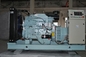 Cummins Generator Air Cooled Marine Diesel Engine supplier