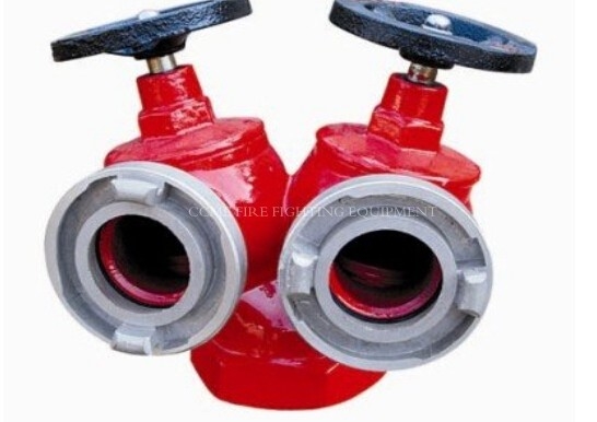 China Fire Hydrant For Sale SNSS 65 Indoor Type supplier
