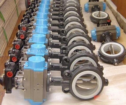 China Marine Butterfly Valve Wafer Lug And Flanged Type Concentric Valve supplier
