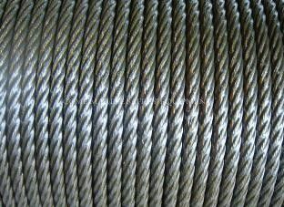 Marine Stainless Steel Rope Galvanized Steel Rope Hot Dipped Galvanized Steel Wire Ropes supplier